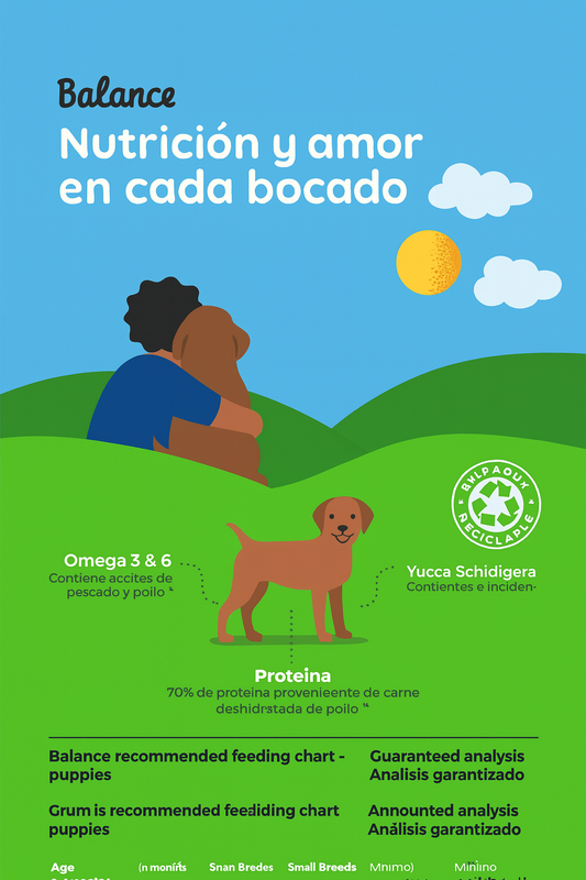 Balance Cachorro Raza Mediana