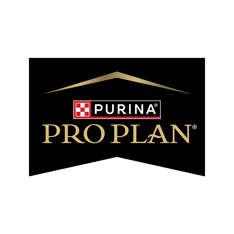 Pro Plan Gato