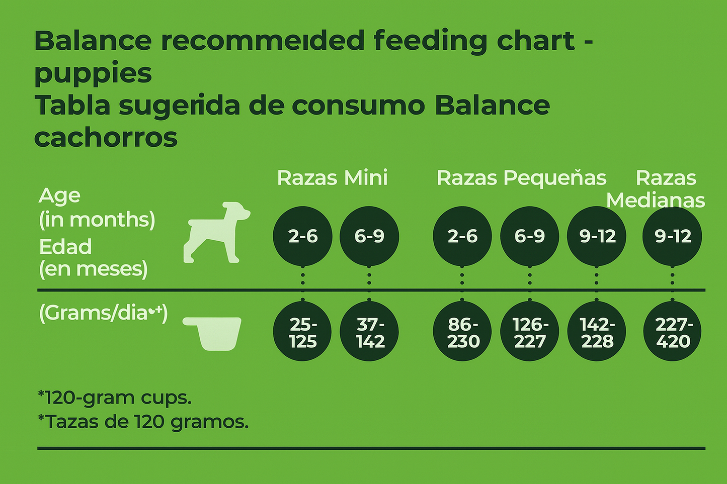 Balance Cachorro Raza Mediana