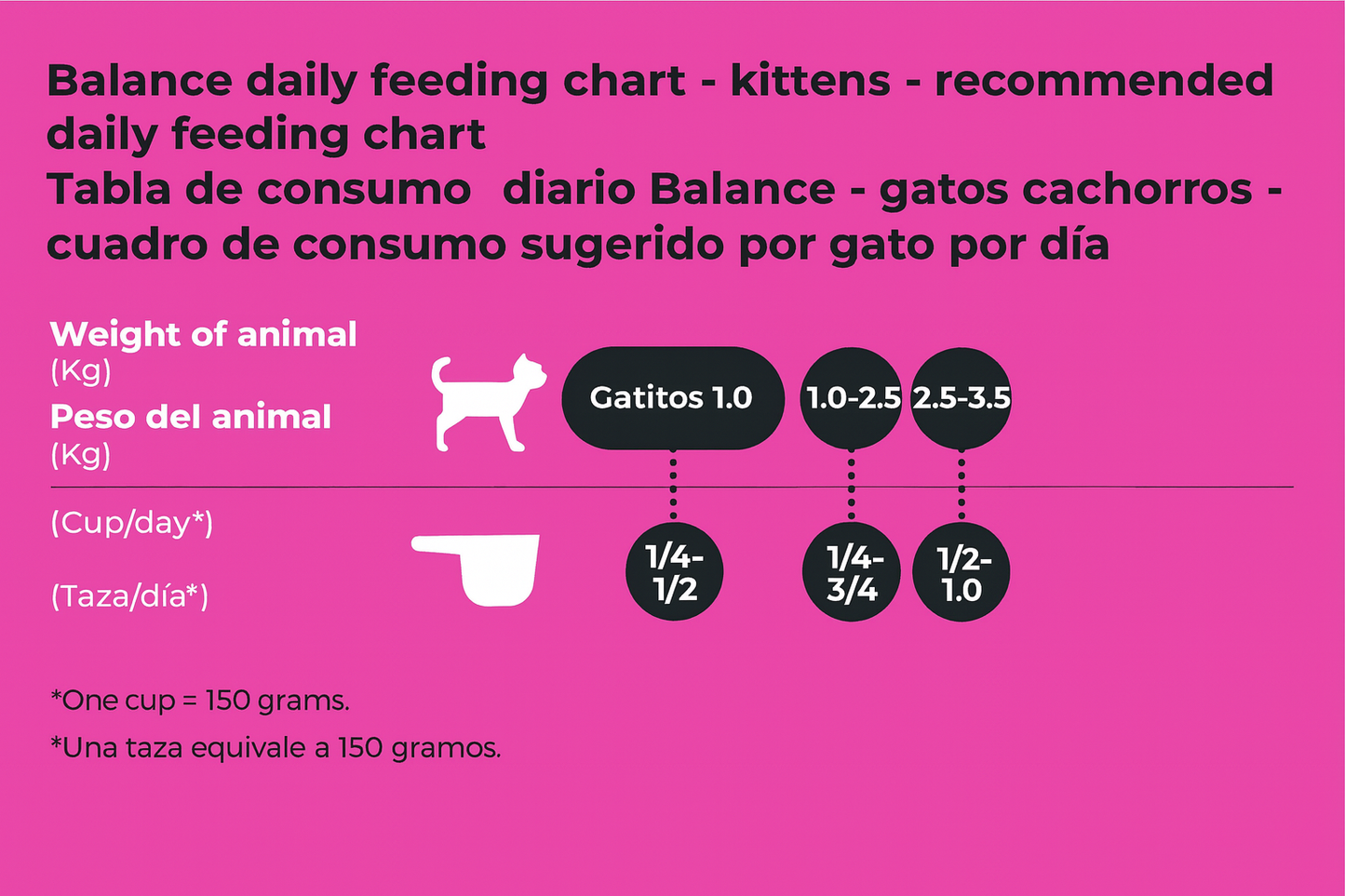 Balance Gatitos