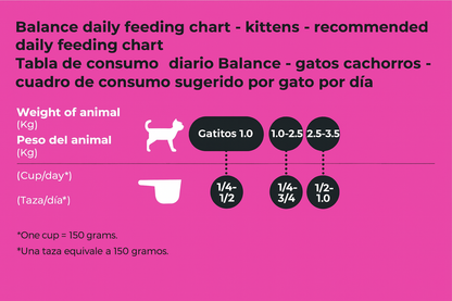 Balance Gatitos