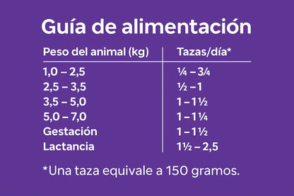 Balance Gato Pollo